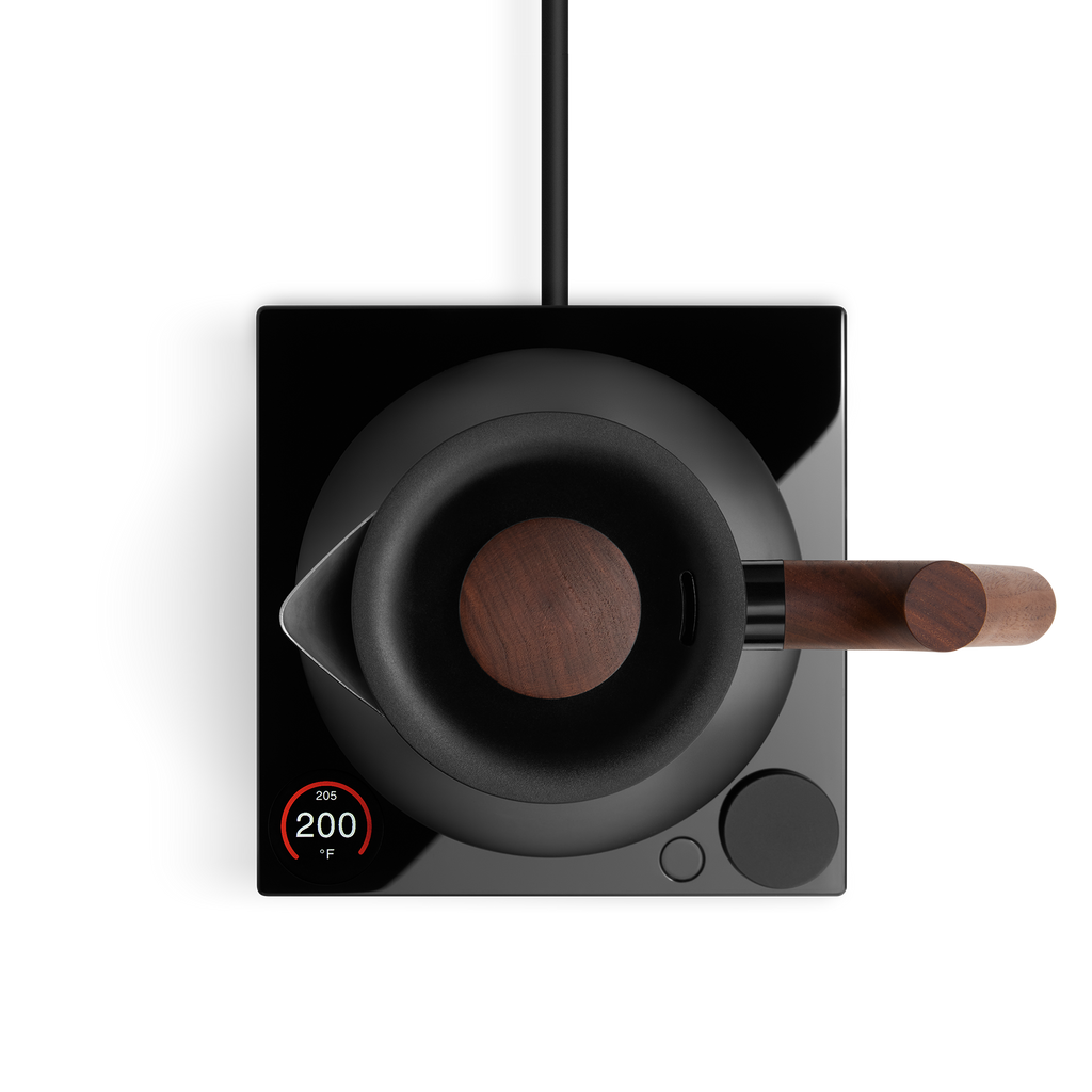 Corvo EKG Pro Electric Kettle | Studio Edition Coffee Maker Companion Accessory