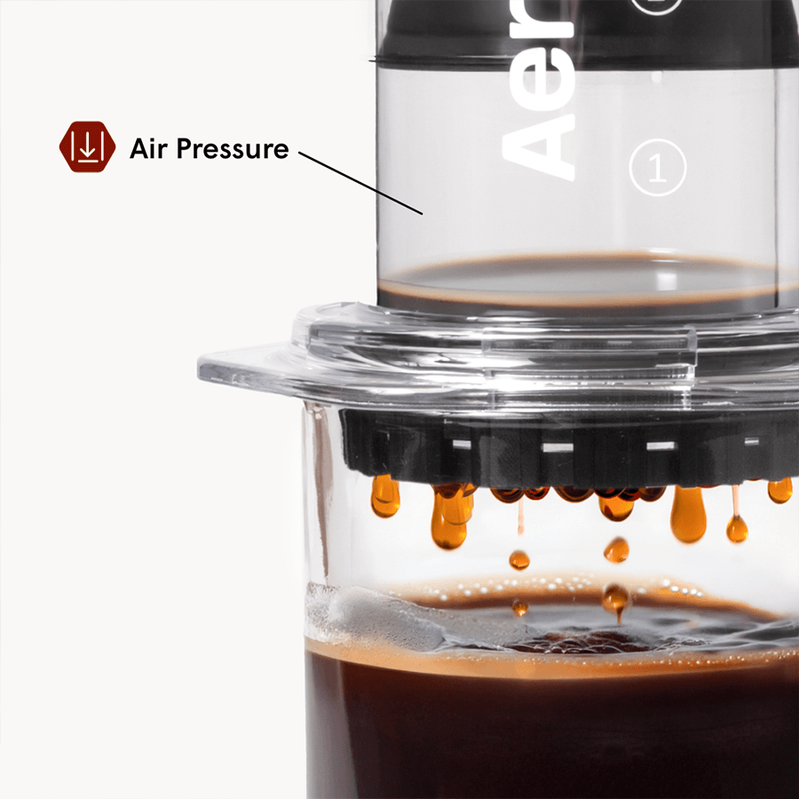 AeroPress Coffee Maker - Clear & Colors Modern Clear Coffee Press