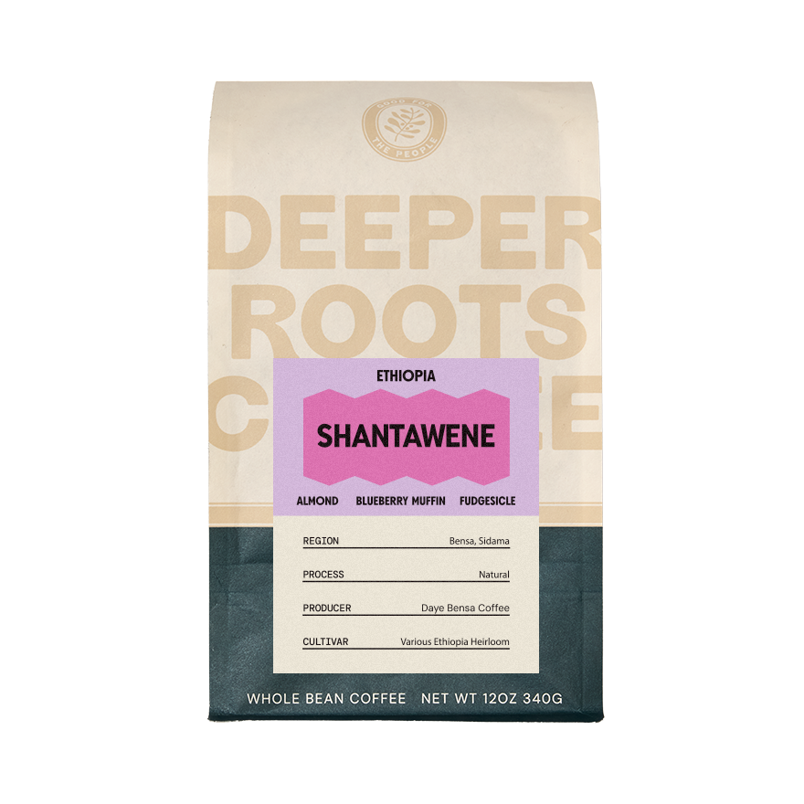 Ethiopia Shantawene 12 oz Clean Flavor Specialty Coffee