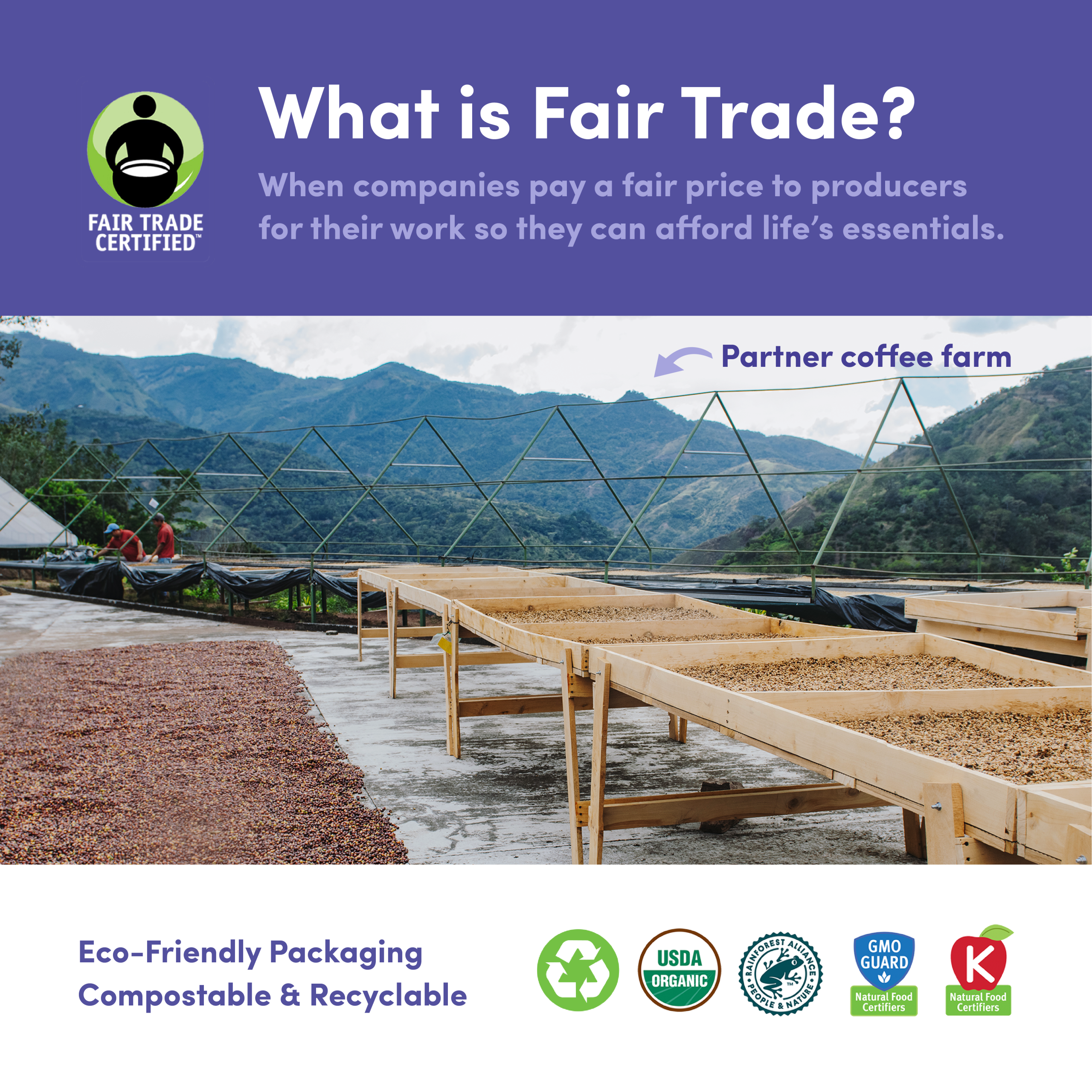 Downtown Blend Organic & Fair Trade Bold Espresso Coffee Beans